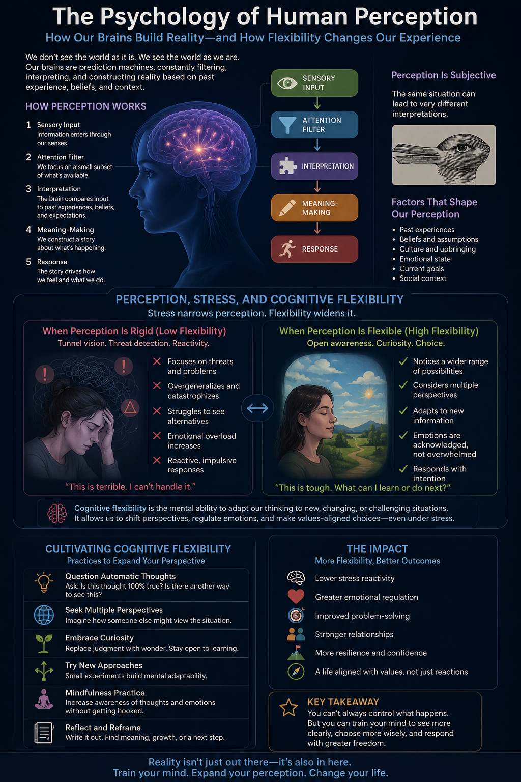The Curated Lens: Why Human Perception Is Not an Objective Camera